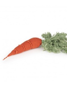 Oli & Carol DIY Cathy the carrot