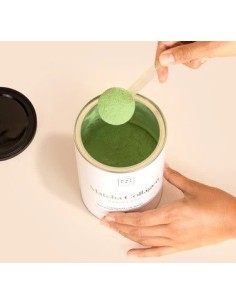 MATCHA & CO Colágeno Marino con Té Matcha 296 g (Sabor Matcha) 2