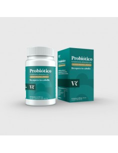 VR6 Probióticos Anticaída...