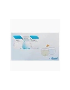 HEEL DETOX Hepeel + Lymphomyosot + Reneel comprimidos