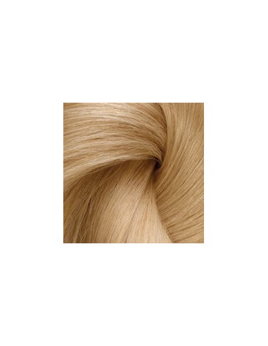 FARMATINT Gel Coloración Permanente 10N Rubio Platino 135 ml