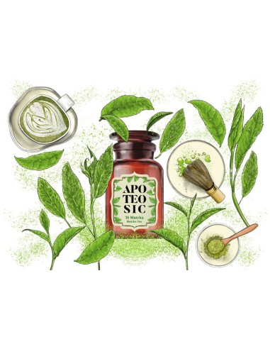 APOTEOSIC Té Matcha Ceremonial 45 g