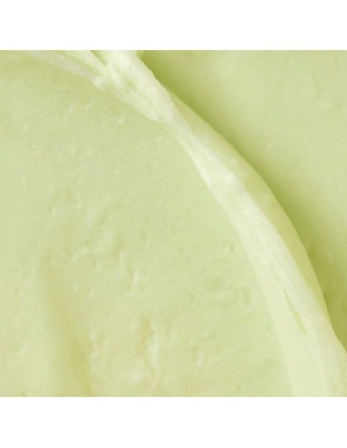 BEAUTY OF JOSEON Matte Sun Stick Mugwort + Camelia SPF 50+ PA++++ - Stick Solar