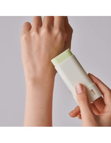 BEAUTY OF JOSEON Matte Sun Stick Mugwort + Camelia SPF 50+ PA++++ - Stick Solar