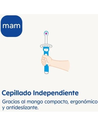 MAM BABY'S BRUSH Cepillo de Dientes Bebés ROSA