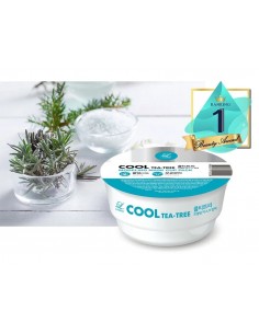 LINDSAY COOL TEA TREE...