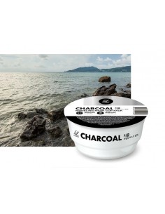 LINDSAY CHARCOAL Modeling...