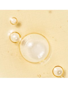 BEAUTY OF JOSEON Revive Serum Ginseng + Snail Mucin - Sérum 2