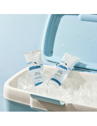 ROUND LAB Birch Juice Mosturizing Soothing Gel - Gel Calmante Hidratante