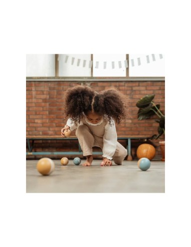 little dutch coche de madera