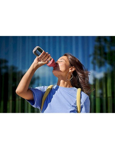 little dutch coche de madera