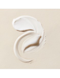 SINGULADERM Xpert Collageneur Crema Mixta - Grasa 50 ml 2