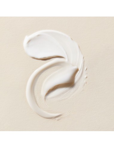 PRIMADERM Xpert Collageneur Crema Mixta - Grasa 50 ml