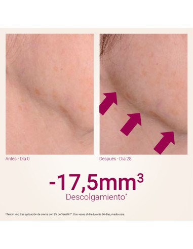 SINGULADERM Xpert Collageneur Neck Crema 50 ml