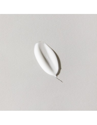 SINGULADERM Biodefense Prebiotic Crema 50 ml