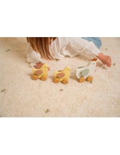 little dutch oso polar arrastre 2