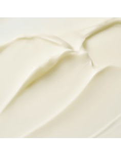 PURITO Timeless Bloom Retinol Spot Cream - Crema Retinol 2