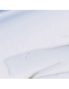 ROUND LAB Birch Juice Mosturizing Cream - Crema Calmante Hidratante 2