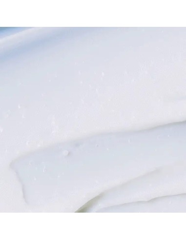 ROUND LAB Birch Juice Mosturizing Cream - Crema Calmante Hidratante