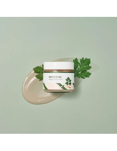 ROUND LAB Mugwort Calming Cream - Crema Calmante