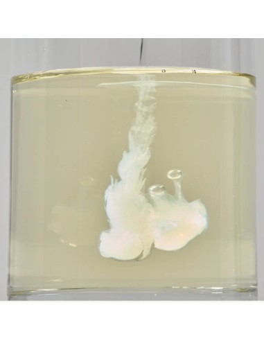 ROUND LAB Soybean Cleansing Oil - Aceite Limpiador