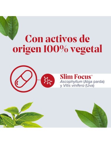 ARKOPHARMA FIGURMED Zonas Rebeldes 60 cápsulas