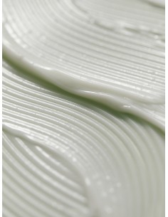 AROMATICA ROSEMARY 3-in-1 Treatment - Tratamiento Nutritivo 2