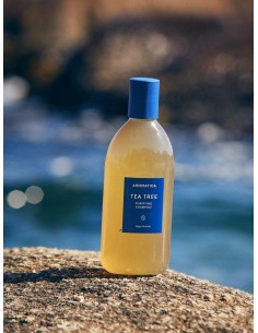 AROMATICA ROSEMARY TEA TREE Shampoo - Champú Cabello Graso 2