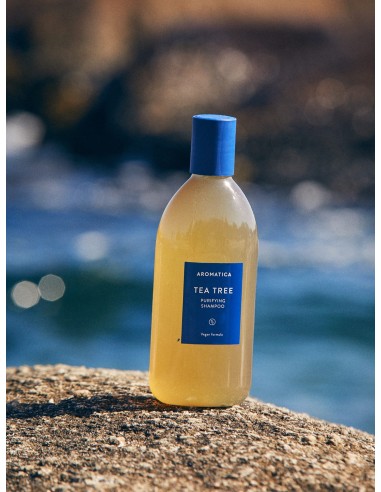 AROMATICA ROSEMARY TEA TREE Shampoo - Champú Cabello Graso