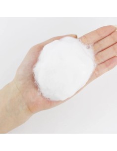 ROUND LAB 1025 Dokdo Cleanser - Limpiador 2