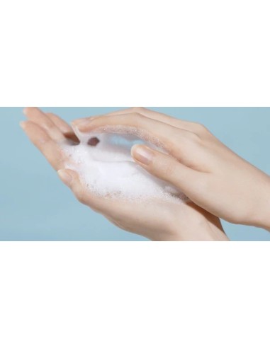 TORRIDEN DIVE IN Hyaluronic Acid Cleansing Foam - Espuma Limpiadora Ácido Hialurónico de Bajo Peso Molecular