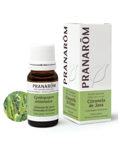 PRANARÔM ACEITE ESENCIAL Citronela de Java 10 ml