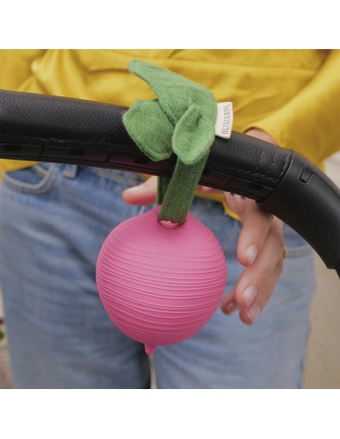 Oli & Carol Fruits & Veggies Pepita the apple