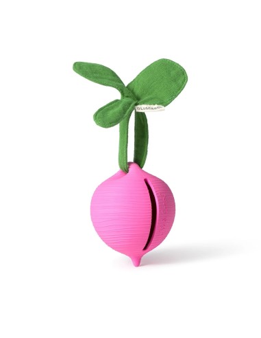 Oli & Carol Fruits & Veggies Pepita the apple