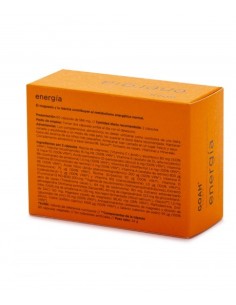 Goah Clinic energia 60 capsulas 2
