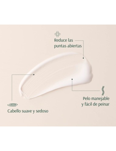 TARA Dátil+ Multivitaminas Acondicionador Hidratante 267 ml