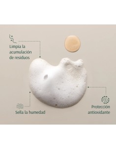 TARA Dátil+ Multivitaminas Champú Nutritivo 267 ml 2