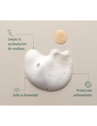 TARA Dátil+ Multivitaminas Champú Nutritivo 267 ml