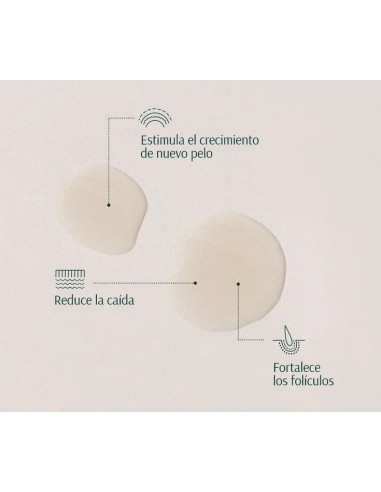 TARA Cebolla + Péptidos Sérum 50 ml