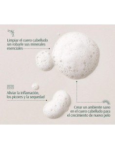 TARA Cebolla + Péptidos Champú Voluminizador 267 ml 2