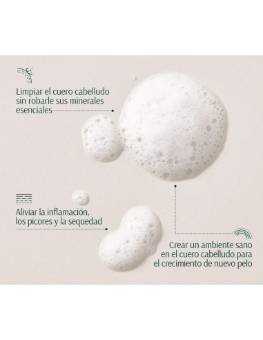 TARA Cebolla + Péptidos Champú Voluminizador 267 ml