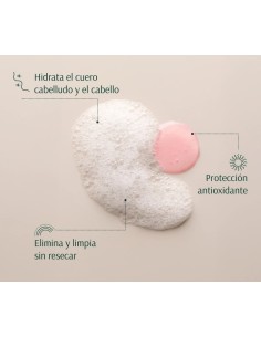 TARA Fresa + NMF Champú Nutritivo 267 ml 2