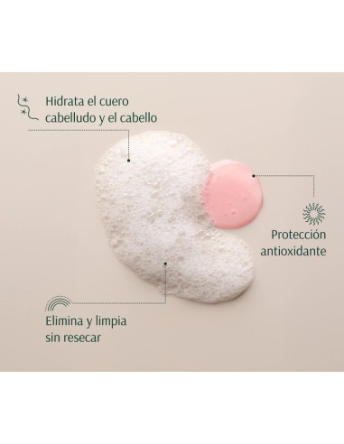 TARA Fresa + NMF Champú Nutritivo 267 ml