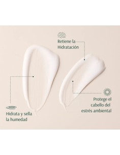 TARA Fresa + NMF Acondicionador Hidratante 267 ml 2