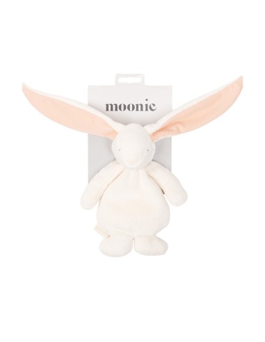 little dutch pulpo océano azul