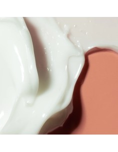 HARUHARU WONDER Centella Phyto & 5 Peptide Concentrate Cream 2