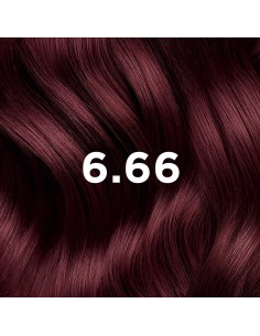 PHYTO COLOR Coloración Permanente 6.66 Castaño Claro Cereza Intenso 2