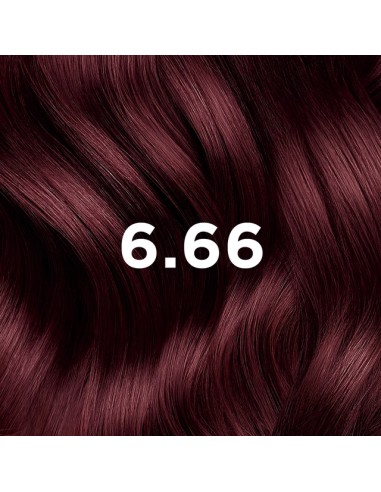 PHYTO COLOR Coloración Permanente 6.66 Castaño Claro Cereza Intenso