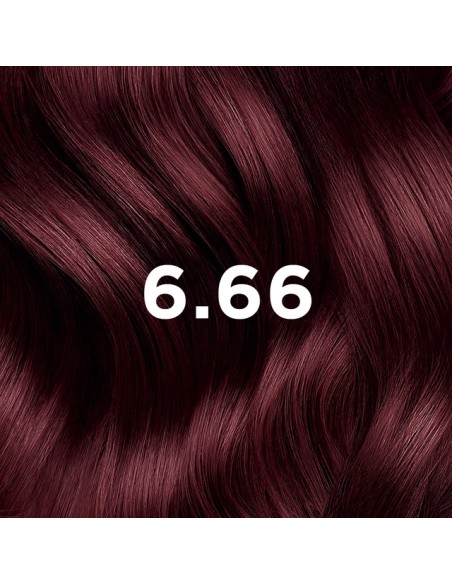 PHYTO COLOR Coloración Permanente 6.66 Castaño Claro Cereza Intenso