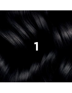 PHYTO COLOR Coloración Permanente 1 Negro 2